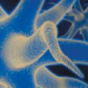 Nutra_Organic_Pl_4f023ee42ddf4.png